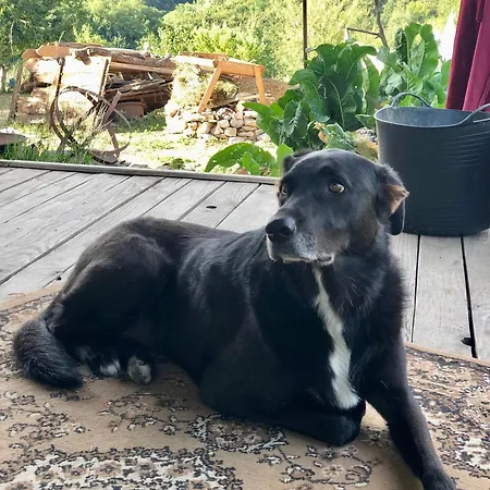 Le Petit Permadise Couette-café