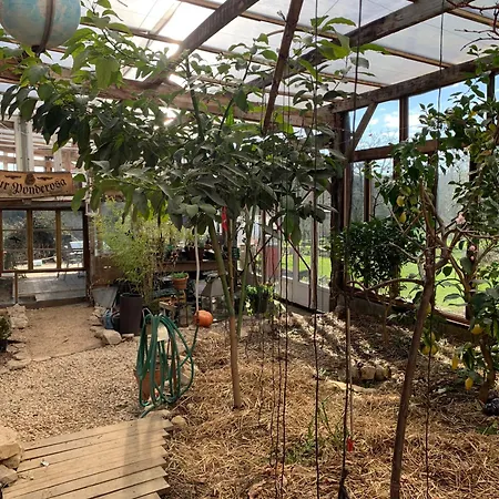 Le Petit Permadise 3*