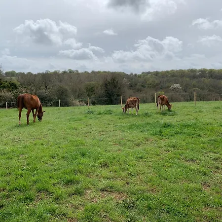 Le Petit Permadise Chassiecq