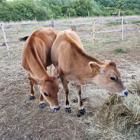 Le Petit Permadise 3* Chassiecq