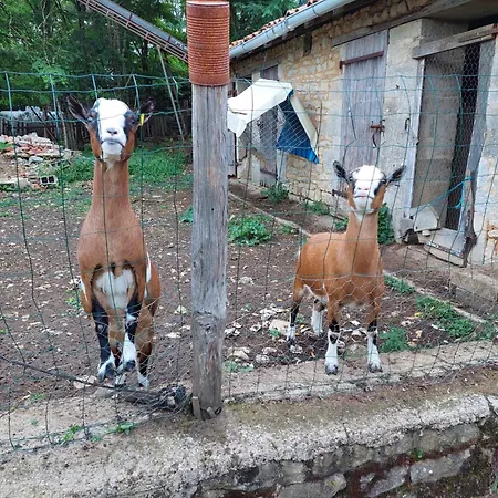 Frühstückspension Le Petit Permadise