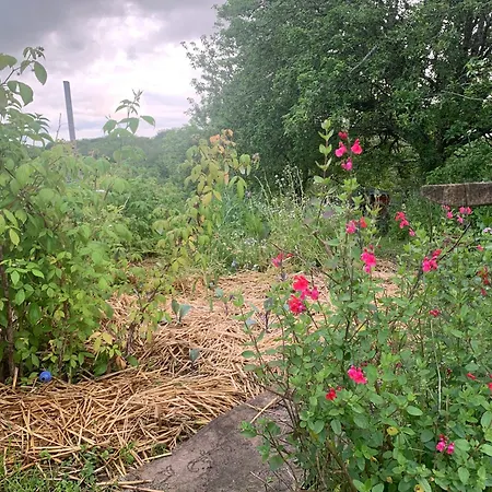 Le Petit Permadise Chassiecq