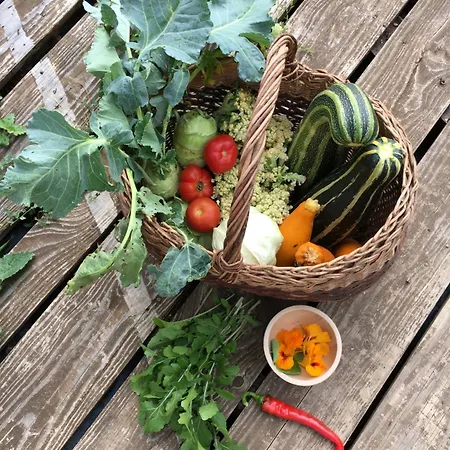 Le Petit Permadise 3* Chassiecq